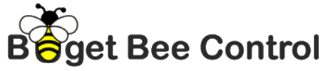 Budget Bee Control
